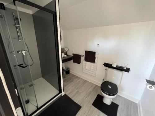 a bathroom with a toilet and a glass shower at gite Le 75's in Bourges