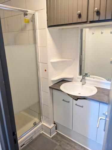 une petite salle de bain avec un lavabo et une douche dans l'établissement Belle chambre privée dans appartement, à Évry-les-Châteaux