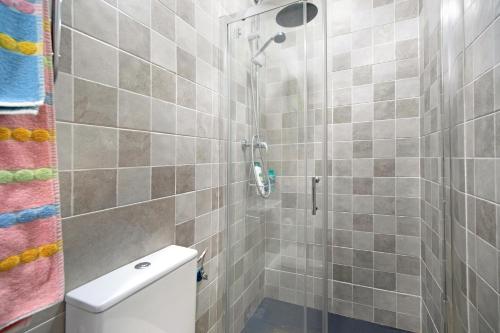 Un baño con ducha y WC. en Apartamentos Centro Jerezano 2, en Jerez de la Frontera