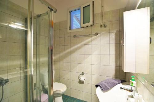 ein Bad mit einer Dusche, einem WC und einem Waschbecken in der Unterkunft Drossos Garden House in Nydri
