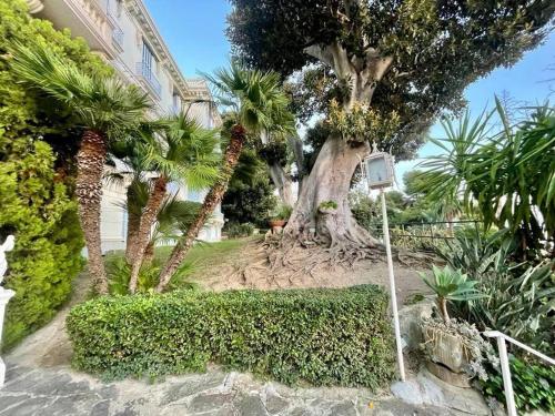 Κήπος έξω από το Suite Cavalieri di Rodi 6 - Ospedaletti