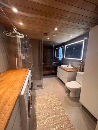 a bathroom with a toilet and a sink at Apartment Aurora in Rovaniemi