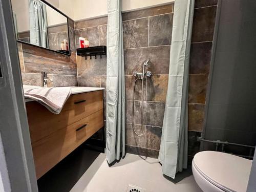 une salle de bain avec une douche, un lavabo et des toilettes dans l'établissement Aix-en-Provence, Cosy Studio proche toutes commodités, linges fournis, à Aix-en-Provence