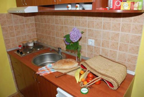 Küche/Küchenzeile in der Unterkunft Apartment Tarski konaci