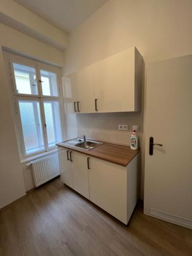 Kuchyň nebo kuchyňský kout v ubytování Apartmány Soukenická