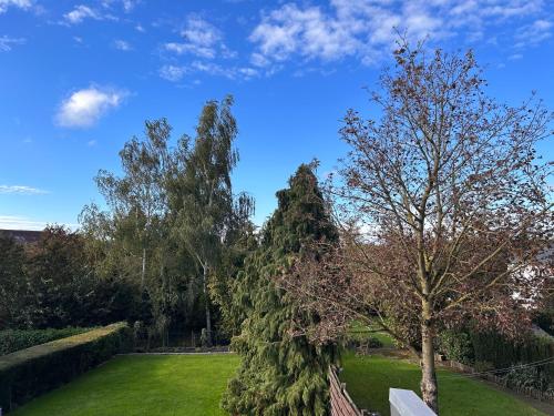 Ein Baum im Garten mit einem Zaun in der Unterkunft Chambre dans habitat partagé chez Séverine in Nivelles