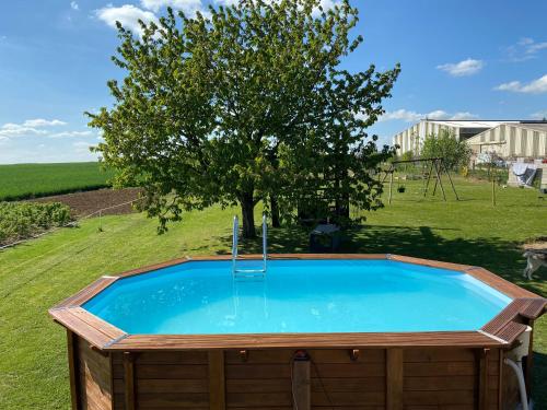 una piscina en un campo con un árbol en Complexe familial, en Charmes
