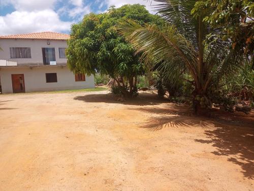 a dirt road in front of a house with palm trees at Pousada e recanto baiano's in Amargosa