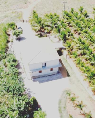 Luftblick auf eine Palmenplantage in der Unterkunft Pousada e recanto baiano's in Amargosa