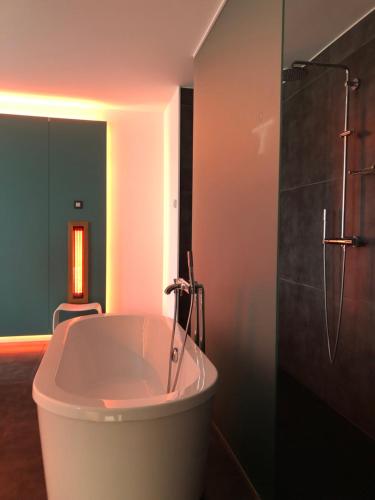 een badkamer met een bad en een douche bij Loft Aan Het Water in Grobbendonk