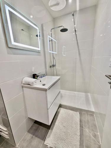 une salle de bain blanche avec un lavabo et une douche dans l'établissement Magnifique T2 refait à neuf - Calme & Tout Equipé avec Parking, à Grenoble