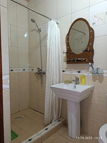 a bathroom with a shower and a sink and a mirror at INJIR Hostel in Dushanbe