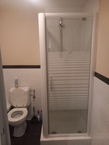 a bathroom with a toilet and a glass shower at Appartbrussels in Brussels