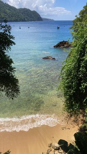 a view of a beach with the ocean at Alibaba‘s Seabreeze in Castara