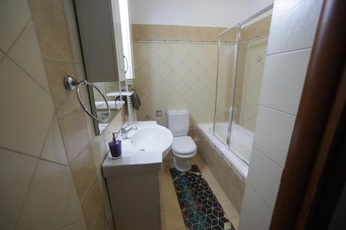 y baño con lavabo, aseo y ducha. en LIDA'S APARTMENT LAKE VIEW, en Kastoria