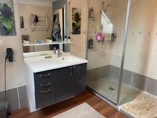 une salle de bain avec un lavabo et une douche dans l'établissement Maison 3 chambres, salle de gym, jardin et terrasse, à Caen