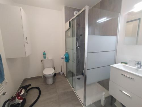 a bathroom with a shower and a toilet and a sink at Le Moulin du Lac, Terrasse, Neuf in Saint-Paul-lès-Dax