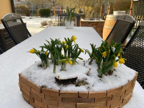a table with snow on it with flowers on it at Schöne Wohnung mit Pool und Sauna zum Wohlfühlen in Oberhausen
