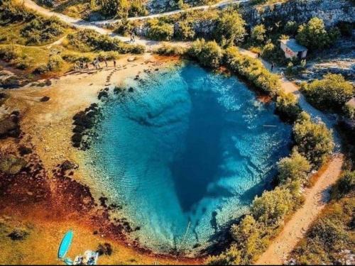 RUŽA