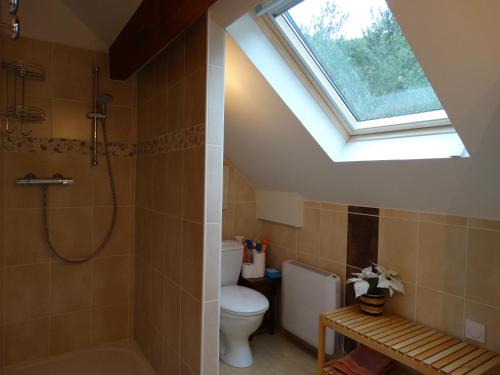 ein Bad mit einer Dusche, einem WC und einem Dachfenster in der Unterkunft Chalet Ma Bonne Etoile 