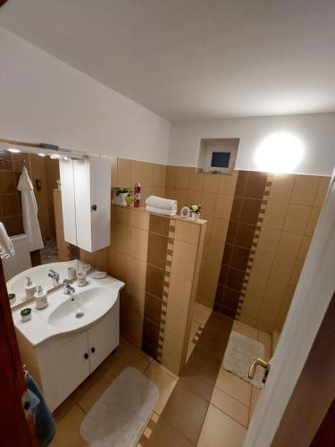 a bathroom with a sink and a shower at Tulipán Vendégház in Sárospatak