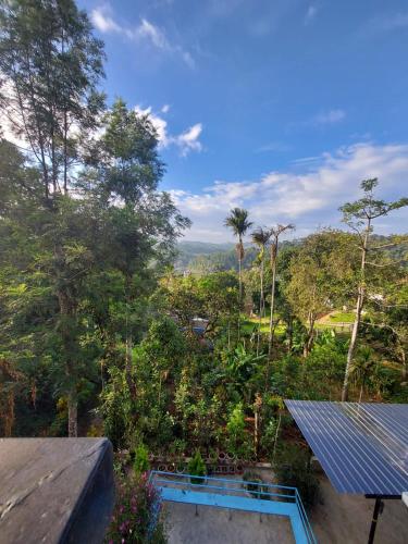 GREEN PEPPER MUNNAR – Photos 5