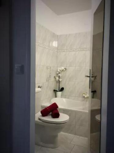 a bathroom with a toilet and a tub and a sink at Appartement Paulina Kaprun in Kaprun