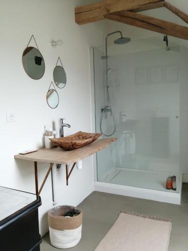 une salle de bain avec un lavabo et une douche dans l'établissement Les chambres de balade au jardin, à Épineu-le-Chevreuil