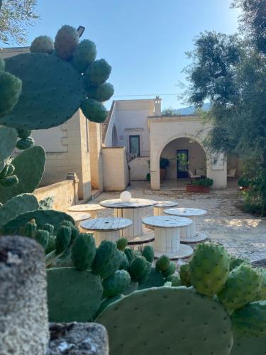 a patio with tables and cactuses in a yard at Sweet Home Suite in Fasano