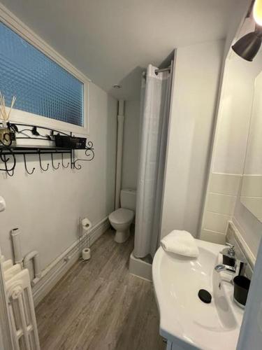 une salle de bain blanche avec un lavabo et des toilettes dans l'établissement LE NID DU PHOENIX - Proche Thermes & Parcs - Rez de Chaussée, à Vichy