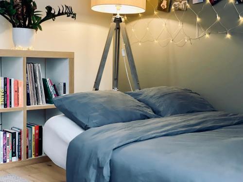 Postel nebo postele na pokoji v ubytování 2 bedroom premium home in the heart of Tallinn