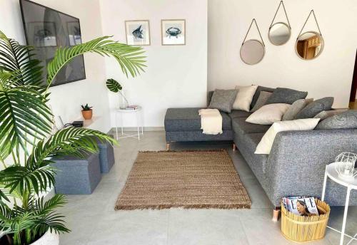 a living room with a couch and a palm tree at CASA SAHUARO con alberca privada, Col El Mirador in San Carlos