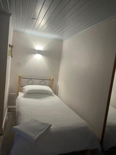 a bedroom with two beds and a light on the ceiling at Ferry House Holidays in New Ross