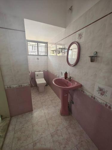 a bathroom with a pink sink and a toilet at Waterfall Villa - 4BHK in Mysore