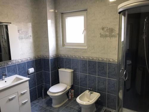 a bathroom with a toilet and a sink and a shower at Apartman DE in Velika Gorica