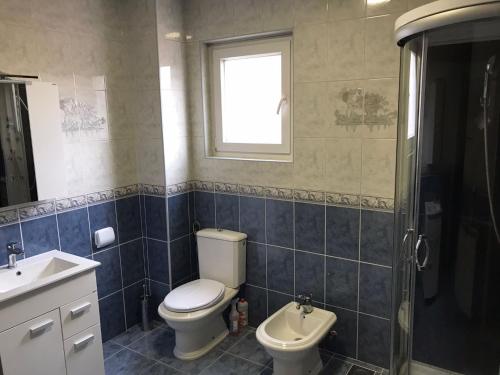 un bagno con wc, lavandino e doccia di Apartman DE a Velika Gorica