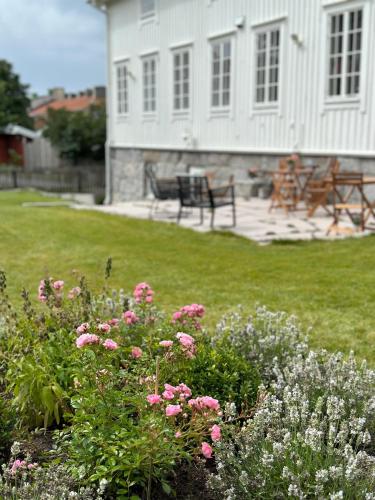 a garden with pink flowers in front of a white house at Crusellska Vandrarhemmet in Strömstad