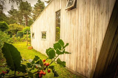 a wooden barn with a plant in front of it at Tiny House Hilver - uniek en sfeervol huisje middenin het bos in Diessen