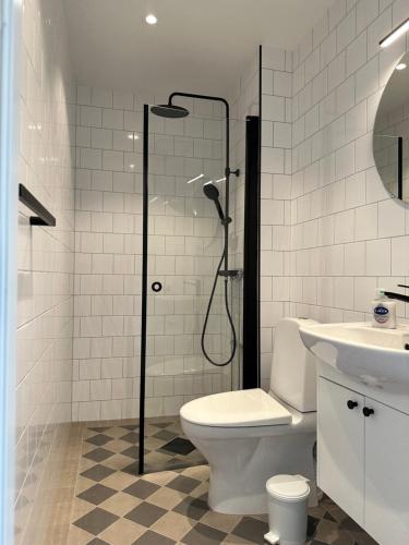 a bathroom with a shower and a toilet and a sink at Crusellska Vandrarhemmet in Strömstad