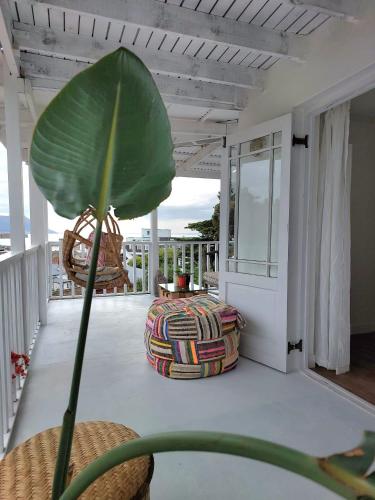 a large green leaf sitting on a balcony at House On The Hill in Cape Town