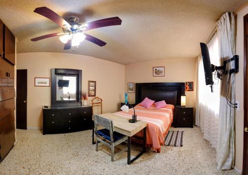 Schlafzimmer mit einem Bett und einem Deckenventilator in der Unterkunft Casa de las Palmas Guest House in Oaxaca de Juárez