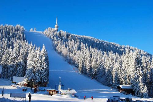 VIP Apartment Stenata Complex