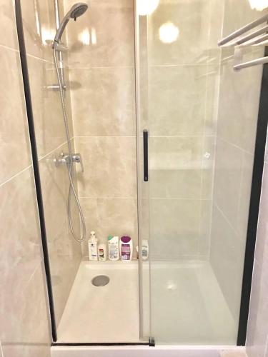 une salle de bain avec une douche avec une porte vitrée dans l'établissement Bastillle two bedroom APT, à Paris