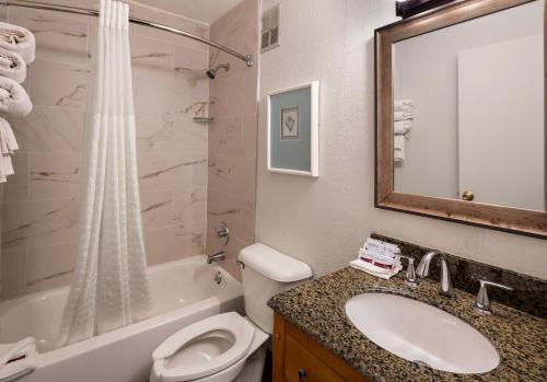 a bathroom with a sink and a toilet and a shower at Magnuson Hotel Detroit Metro Airport in Romulus