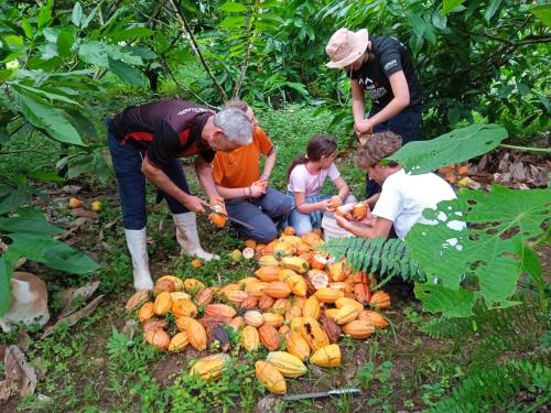 Rancho Verde de Osa – Photos 2