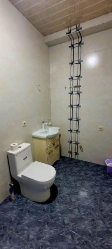 a bathroom with a toilet and a sink at RUBENYAN GUEST HOUSE in Artashat