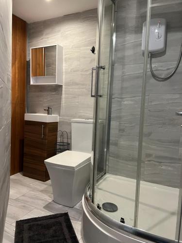 a bathroom with a shower and a toilet and a sink at Stonebarn Lane in Halton