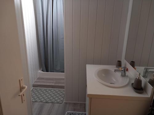 een badkamer met een wastafel en een douche bij CLEMENTINE in Ahun