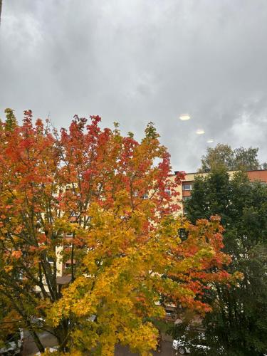 特爾希艾的住宿－Amot apartamentai，建筑物前有几棵树,树叶丰富多彩