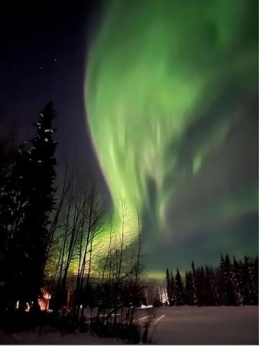 an aurora in the sky with trees in the foreground at Lakefront Aviators Aurora Retreat in North Pole